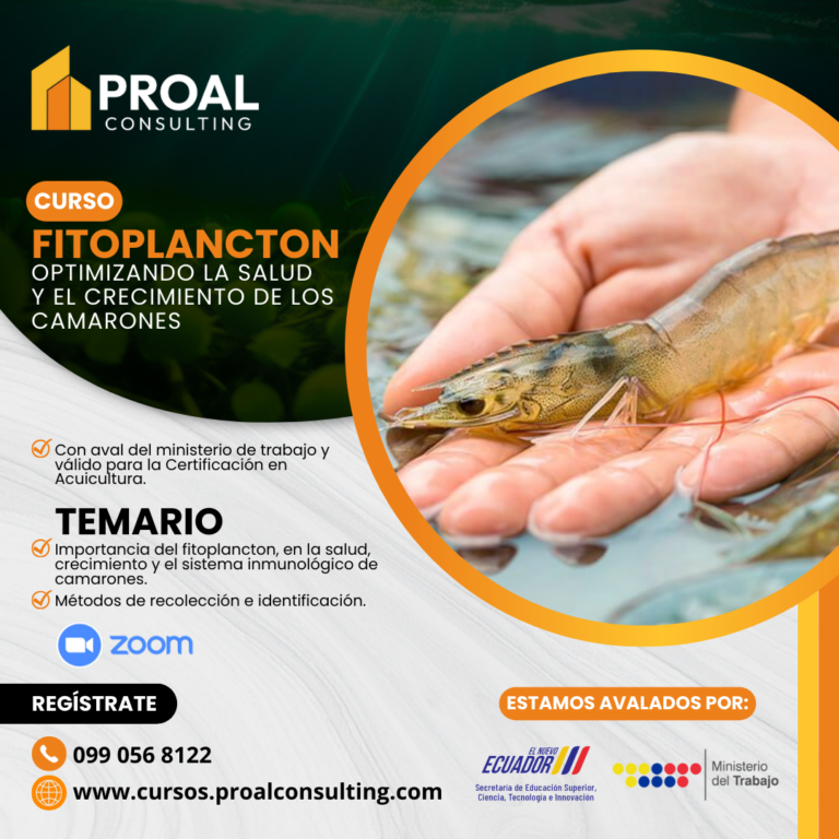 FITOPLANCTON: Optimizando la salud de los camarónes